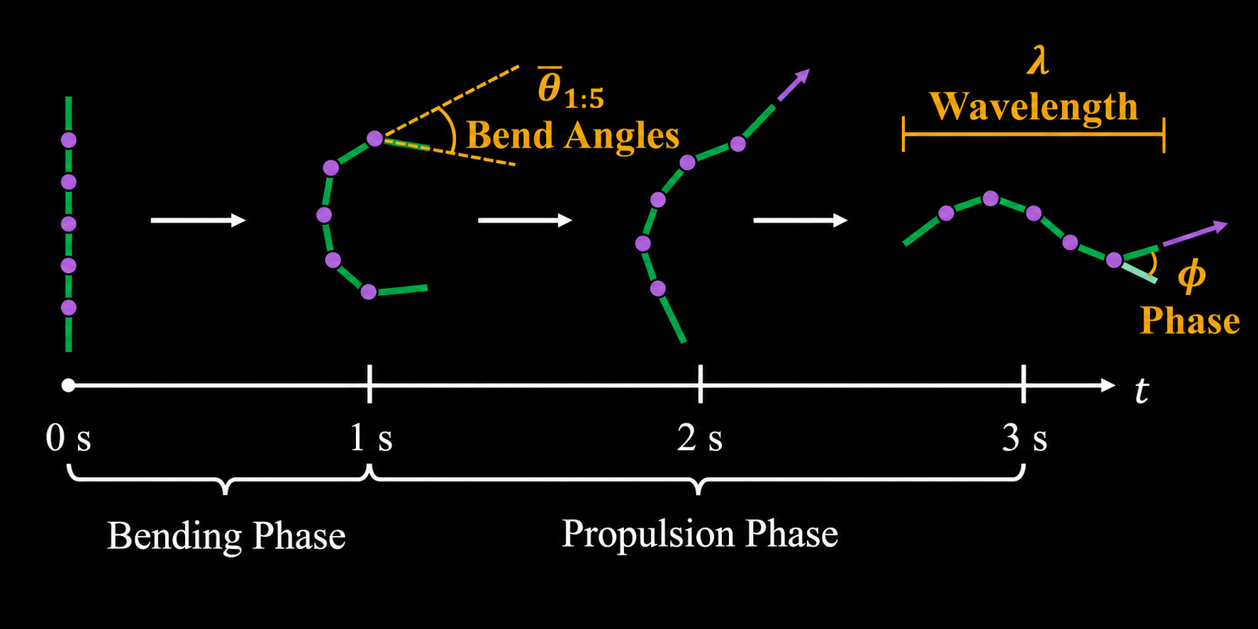 C-start gait parameterization showing a bending phase from zero to one second and a propulsion phase from one to three seconds, with bend angles, phase, and wavelength labeled.
